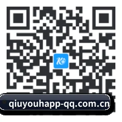 iOS 苹果生态原生版 二维码